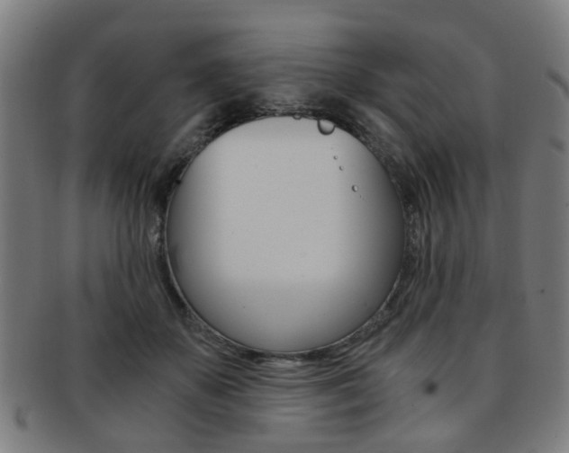 X0000091900507200709051106
