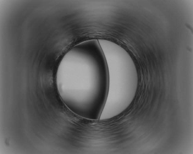 X0000091900508200709051106
