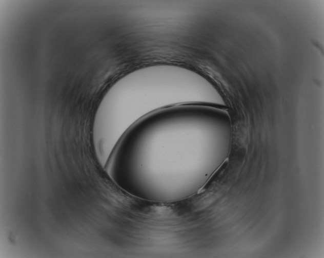 X0000091900509200709051106