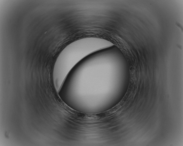 X0000091900510200709051106