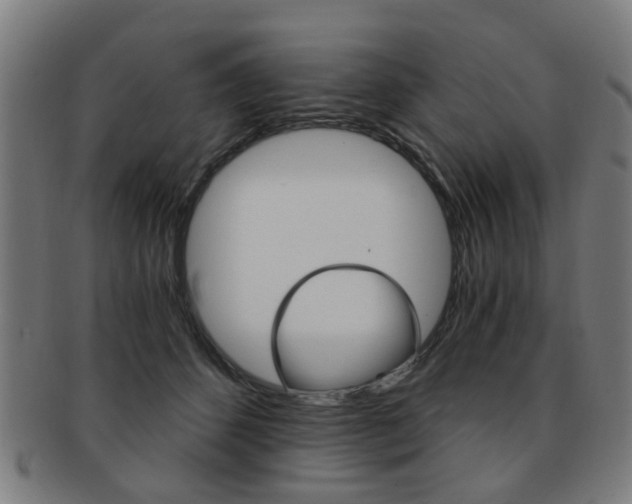 X0000091900512200709051106