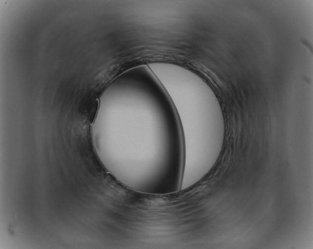 X0000091900513200709051106