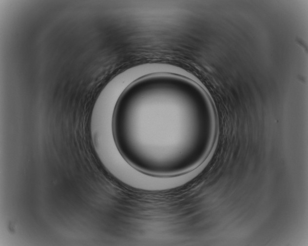 X0000091900515200709051106