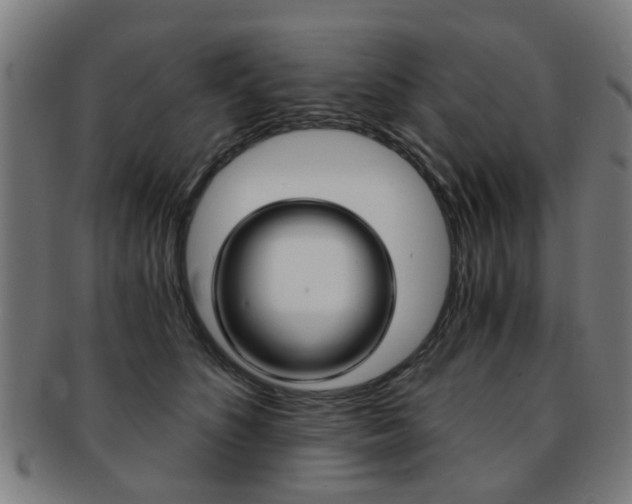 X0000091900516200709051106