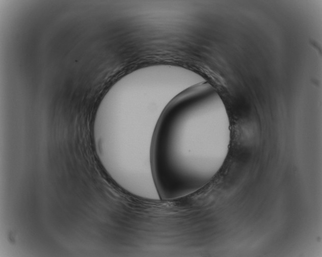 X0000091900517200709051106