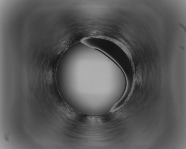 X0000091900520200709051106