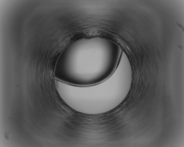 X0000091900521200709051106