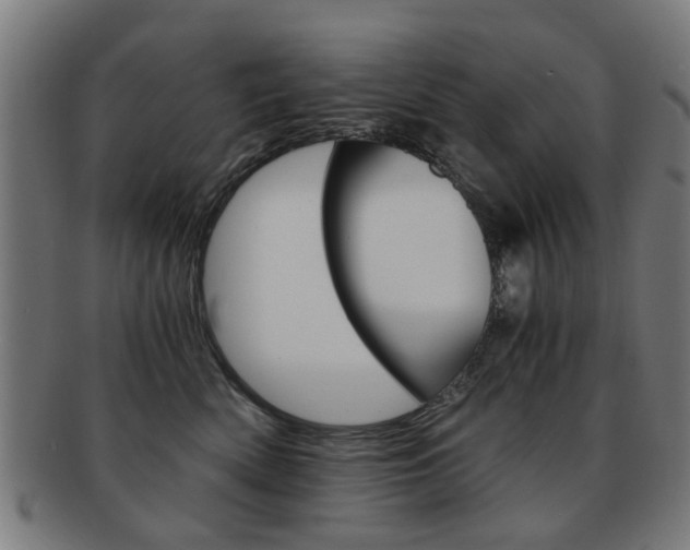 X0000091900522200709051106