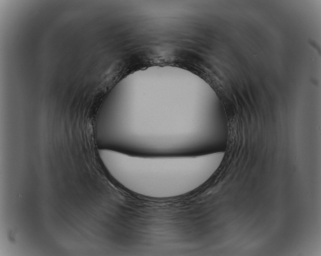 X0000091900523200709051106