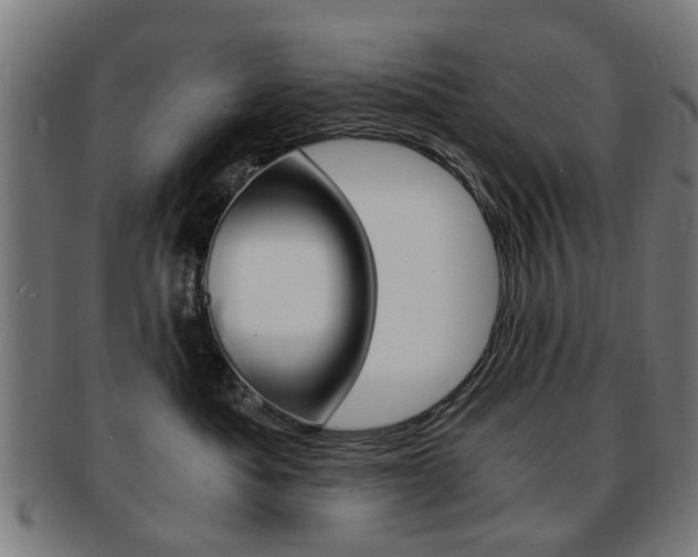 X0000091900525200709051106