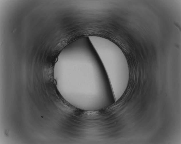 X0000091900526200709051106
