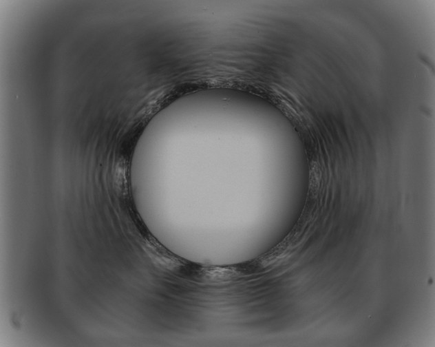 X0000091900527200709051106