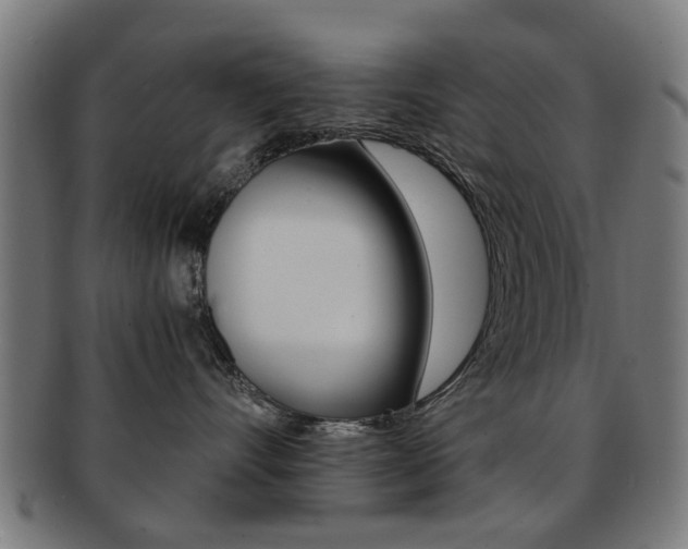 X0000091900528200709051106