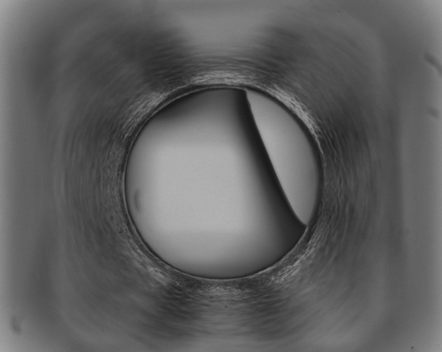 X0000091900529200709051105