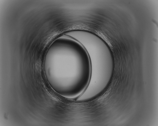 X0000091900530200709051105