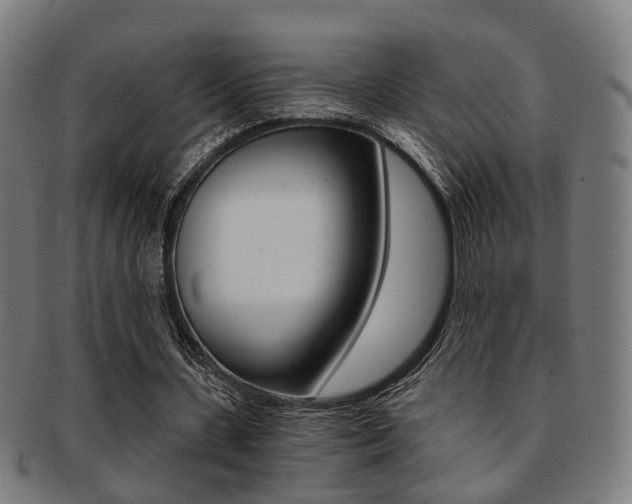 X0000091900531200709051105