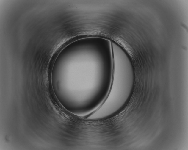 X0000091900532200709051105
