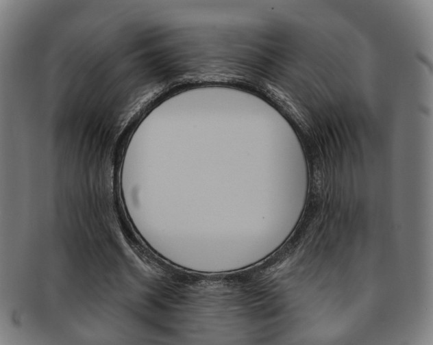 X0000091900534200709051105