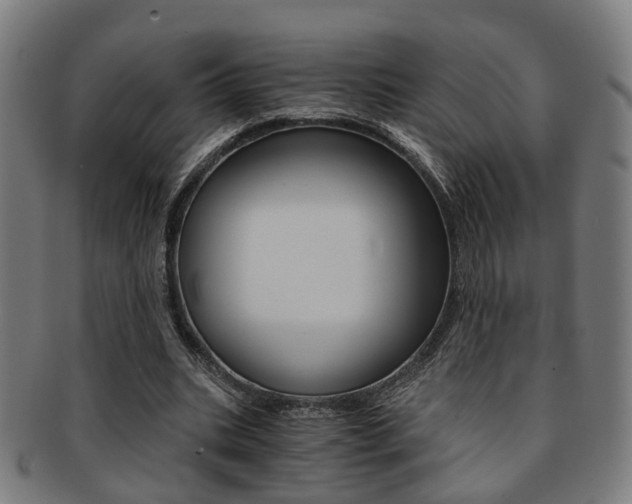 X0000091900535200709051106