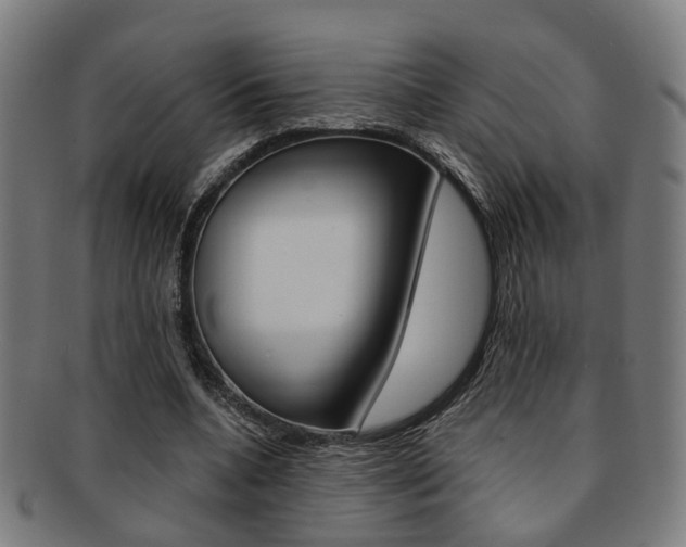 X0000091900536200709051106