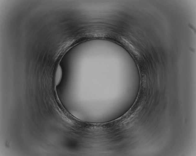 X0000091900537200709051106