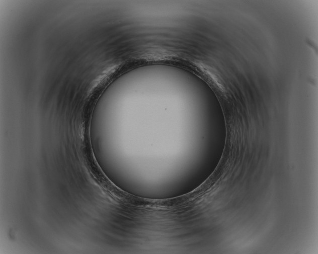 X0000091900539200709051106