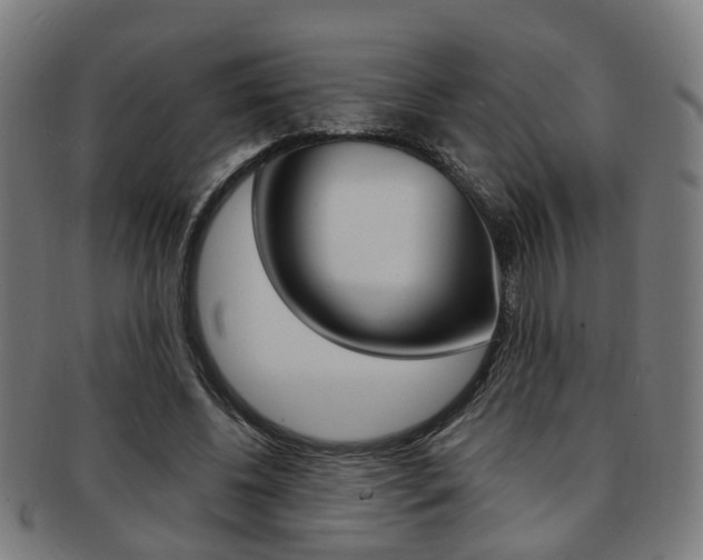 X0000091900540200709051106