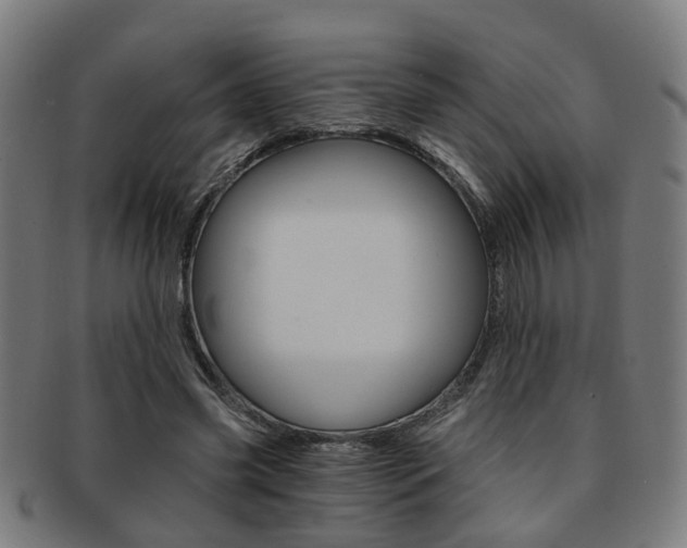 X0000091900541200709051106