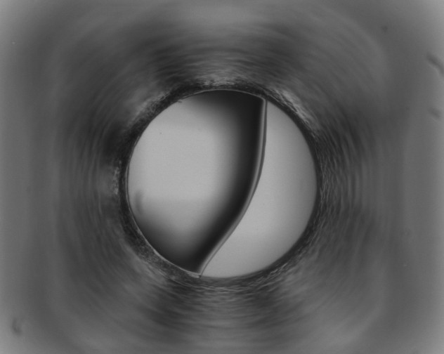 X0000091900543200709051106