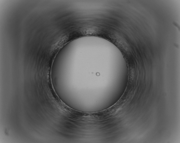 X0000091900545200709051106