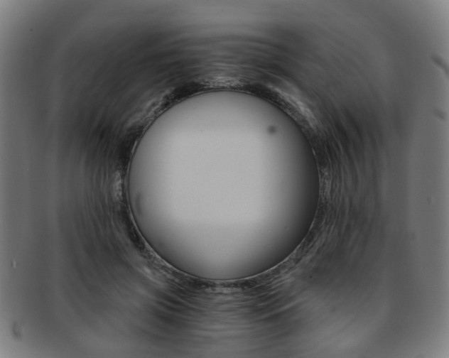 X0000091900549200709051106
