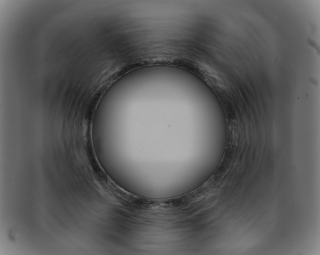X0000091900550200709051106
