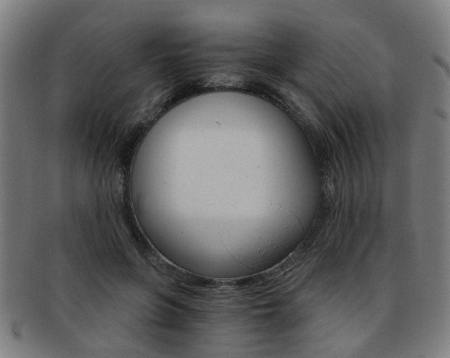 X0000091900551200709051106