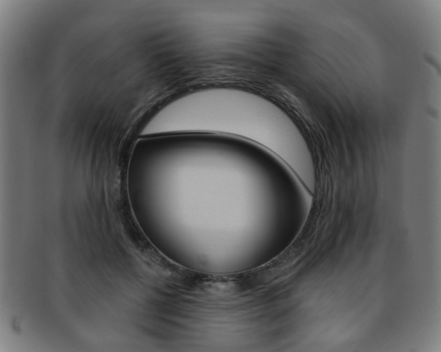 X0000091900552200709051106