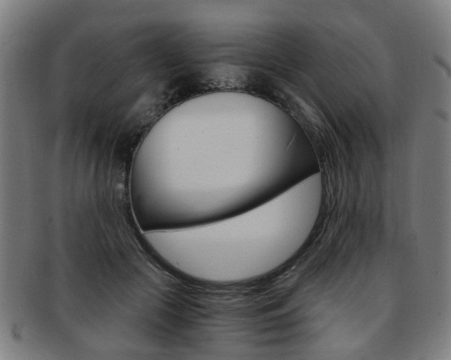 X0000091900553200709051106