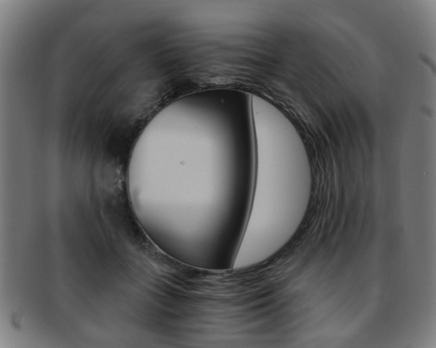 X0000091900555200709051106