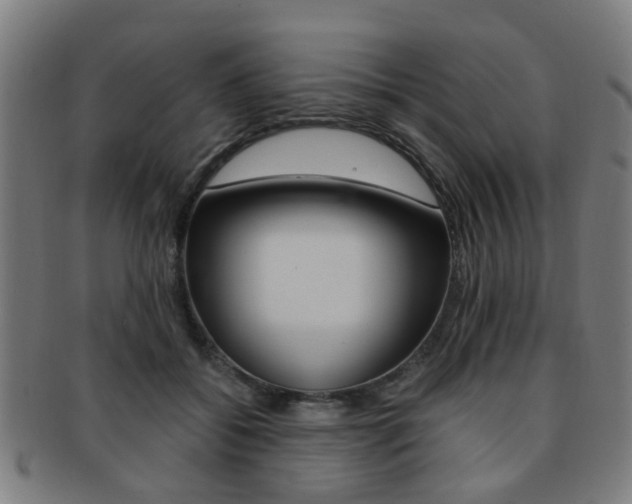 X0000091900556200709051106