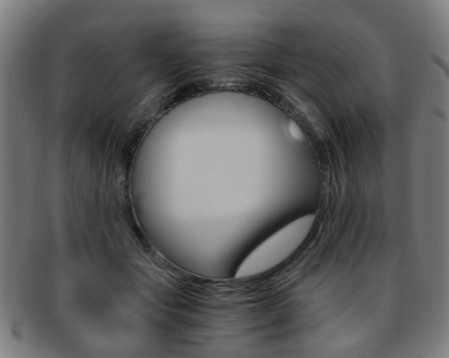 X0000091900557200709051106