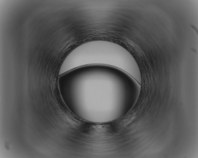 X0000091900558200709051106