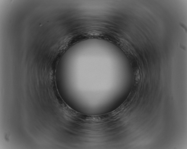 X0000091900559200709051106