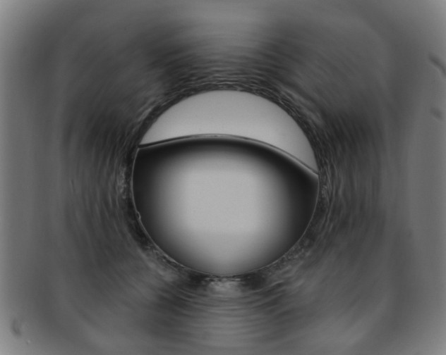 X0000091900560200709051106