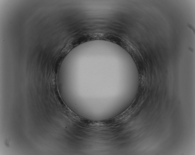 X0000091900561200709051106