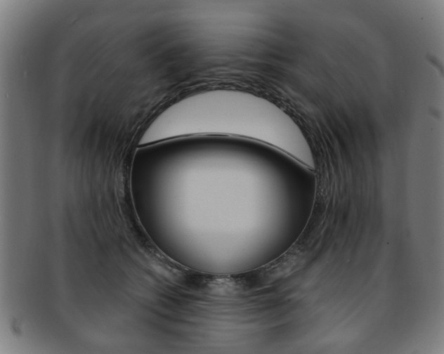 X0000091900562200709051106