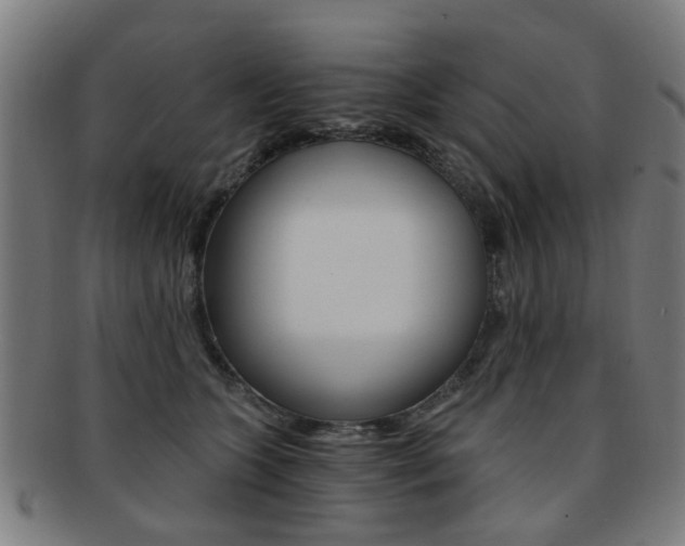 X0000091900563200709051106