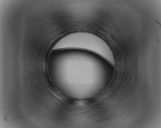 X0000091900564200709051106