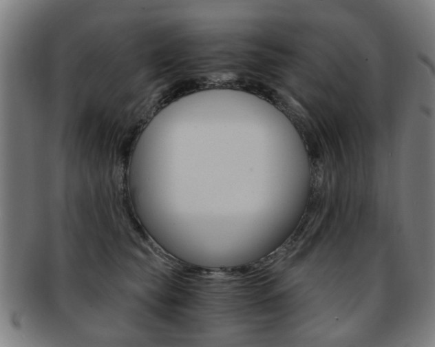 X0000091900565200709051106