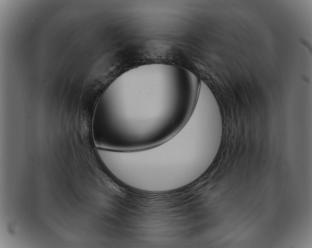 X0000091900566200709051106