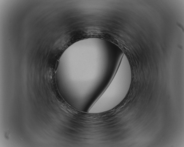 X0000091900567200709051106