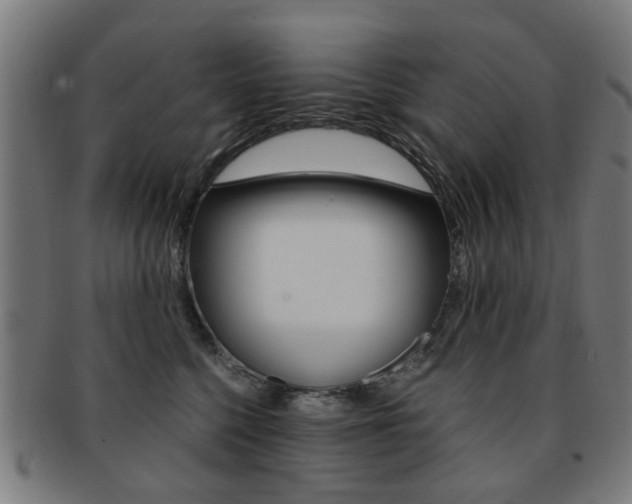 X0000091900568200709051106