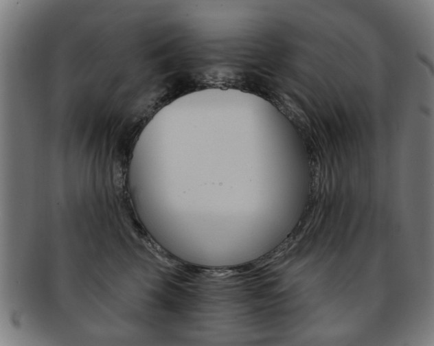 X0000091900569200709051106